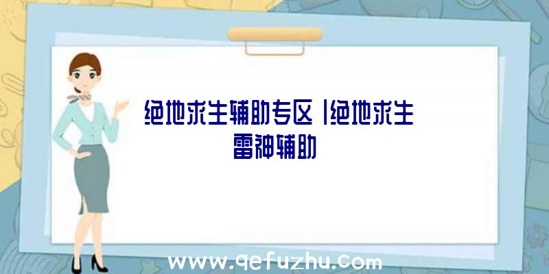 「绝地求生辅助专区」|绝地求生雷神辅助